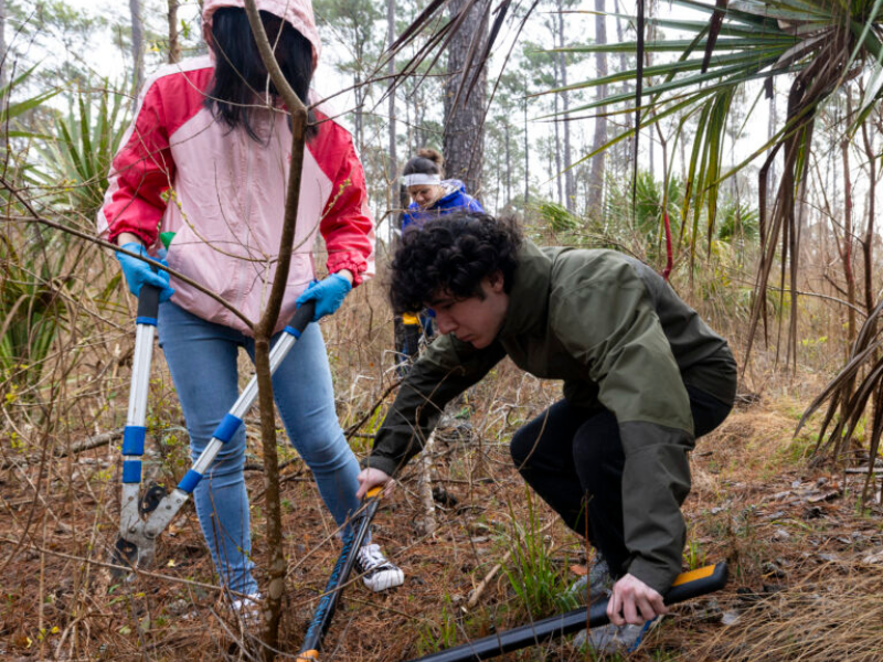 Office of Service-Learning