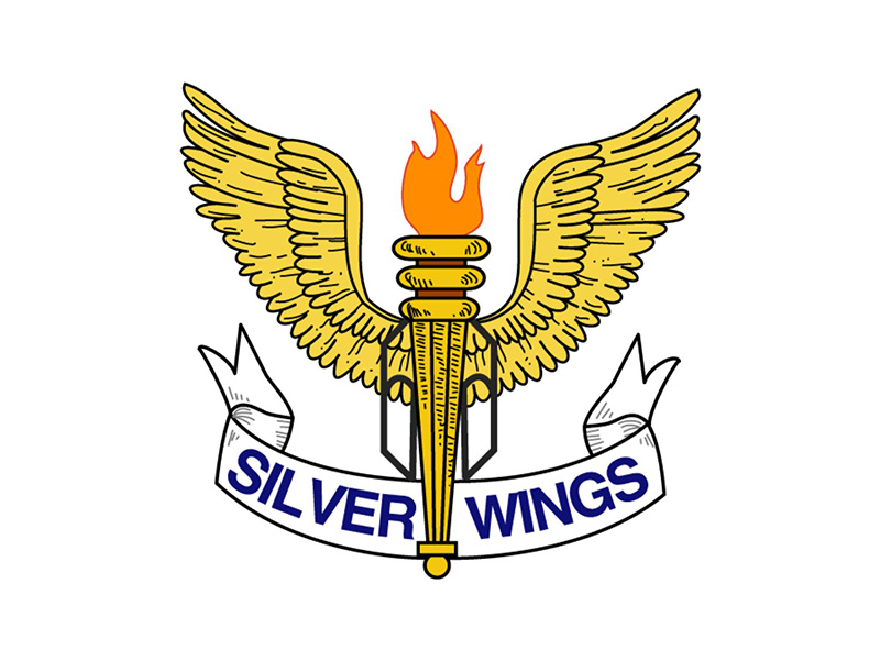 Silver Wings