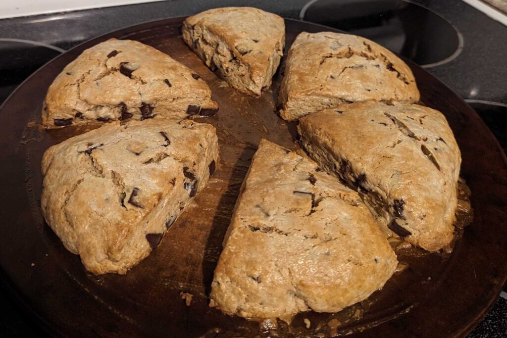 An arrangement of six chocolate scones, fresh out of the oven