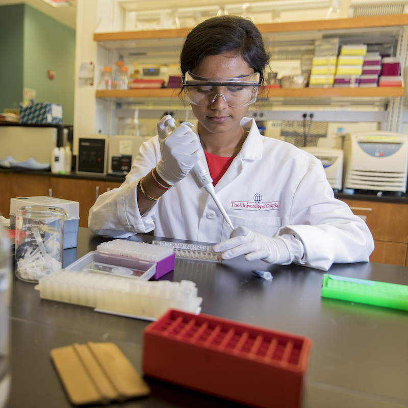 Undergraduate student Trisha Dalapati working with a pipette at a bench in a laboratory.